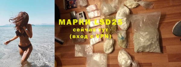 прущие грибы Карпинск
