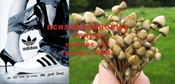 крисы Киреевск