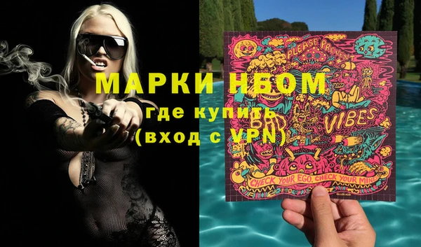 прущие грибы Карпинск