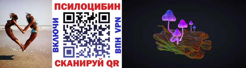 Купить  Богданович  Галлюциногенные грибы мухоморы 